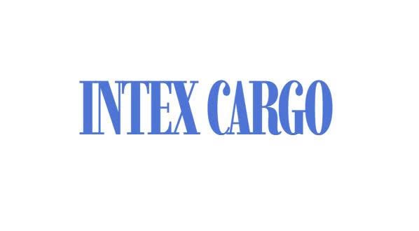 intexcargo.tglusainc.com